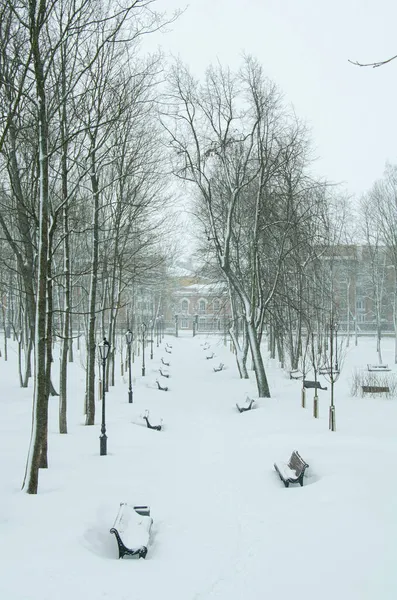 Rússia Kronstadt Jardim Verão Inverno — Fotografia de Stock