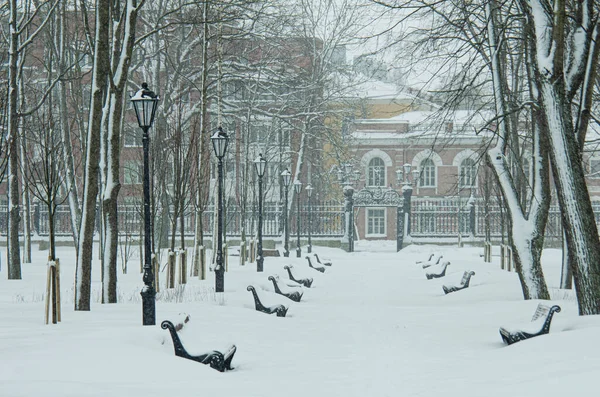 Rússia Kronstadt Jardim Verão Inverno — Fotografia de Stock