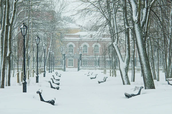 Oroszország Kronstadtban Nyári Kert Télen — Stock Fotó
