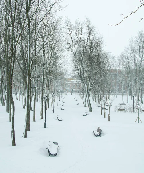 Rússia Kronstadt Jardim Verão Inverno — Fotografia de Stock