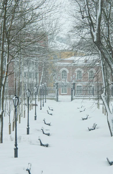 Oroszország Kronstadtban Nyári Kert Télen — Stock Fotó