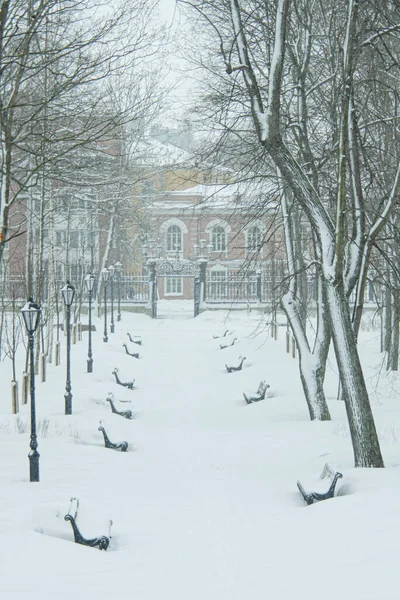 Rússia Kronstadt Jardim Verão Inverno — Fotografia de Stock