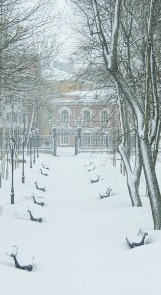 Rosja Kronstadt Lato Ogród Zimą — Zdjęcie stockowe