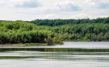 Nehrin kıyısından Yeniseilerin manzarası.