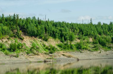 Nehrin kıyısından Yeniseilerin manzarası.