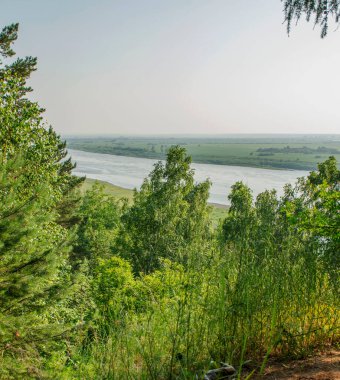Yüksek bir uçurumdan Tom Nehri 'nin manzarası. Tomsk bölgesi. Rusya. 