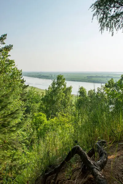 Pohled Řeku Tom Vysokého Útesu Oblast Tomsk Rusko — Stock fotografie