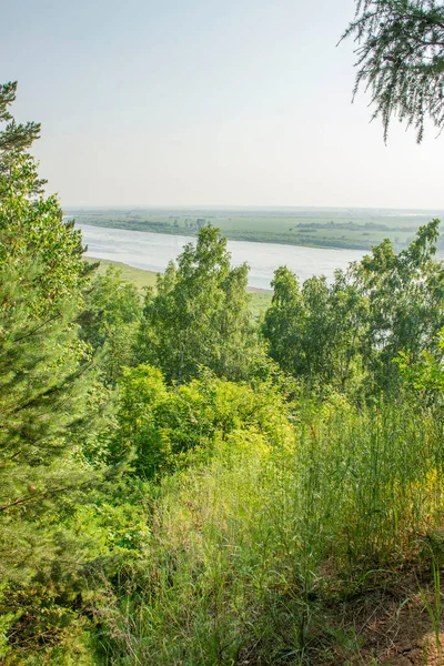 Pohled Řeku Tom Vysokého Útesu Oblast Tomsk Rusko — Stock fotografie
