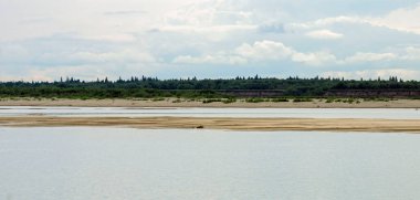 Yenisei Nehri kıyısında. Krasnoyarsk bölgesi. Rusya.