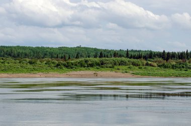  Nehrin kenarından Yeniseilerin kıyılarına bakın. Krasnoyarsk bölgesi. Rusya.