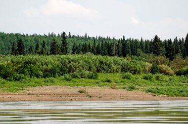  Nehrin kenarından Yeniseilerin kıyılarına bakın. Krasnoyarsk bölgesi. Rusya.