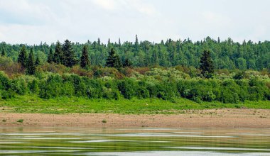  Nehrin kenarından Yeniseilerin kıyılarına bakın. Krasnoyarsk bölgesi. Rusya.