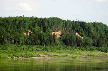  Nehrin kenarından Yeniseilerin kıyılarına bakın. Krasnoyarsk bölgesi. Rusya.