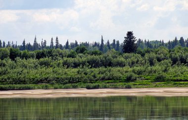  Nehrin kenarından Yeniseilerin kıyılarına bakın. Krasnoyarsk bölgesi. Rusya.
