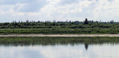  Nehrin kenarından Yeniseilerin kıyılarına bakın. Krasnoyarsk bölgesi. Rusya.
