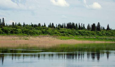  Nehrin kenarından Yeniseilerin kıyılarına bakın. Krasnoyarsk bölgesi. Rusya.