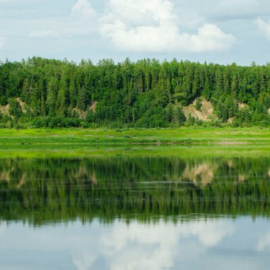Nehrin kenarından Yeniseilerin kıyılarına bakın. Krasnoyarsk bölgesi. Rusya.