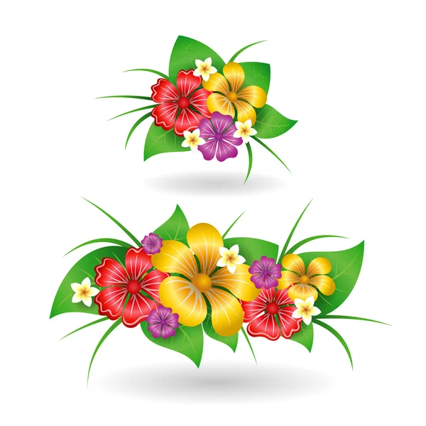 Tropical flowers decor elements — Stock Vector