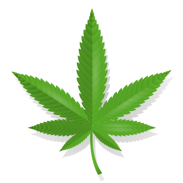 Cannabis leaf icon — Stock Vector