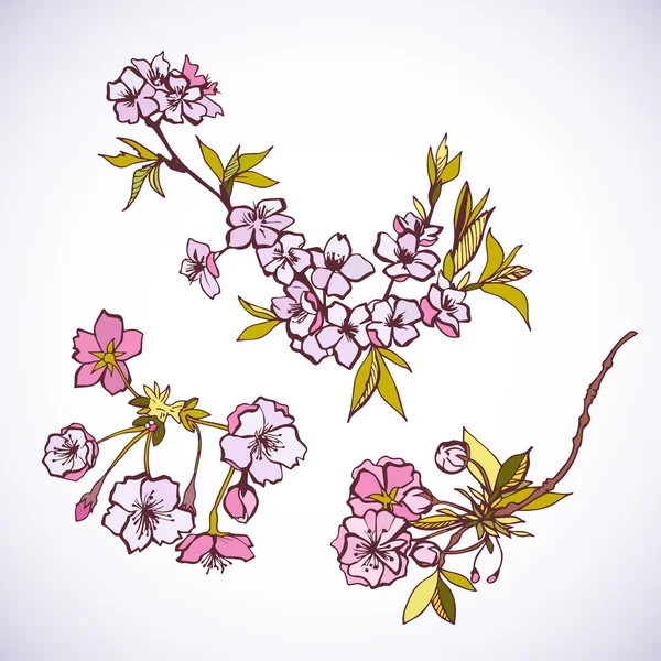 Blossoming sakura decorative elements — Stock Vector
