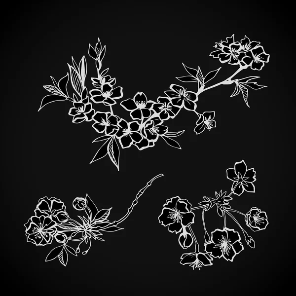 開花の花の装飾的な要素 — ストックベクタ