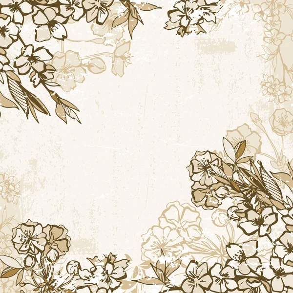 Arka plan çerçeve çiçek açması kiraz veya sakura — Stok Vektör
