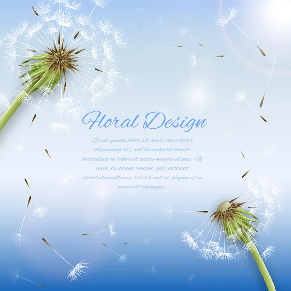 White dandelion with pollens background — Stock Vector