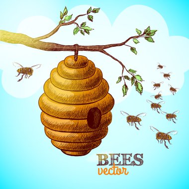 Honey bees and hive on tree branch background clipart
