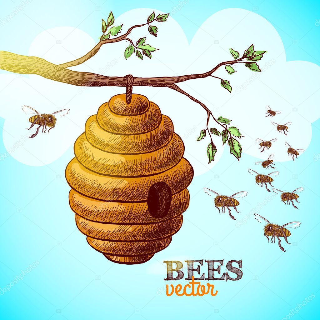 Honey bees and hive on tree branch background