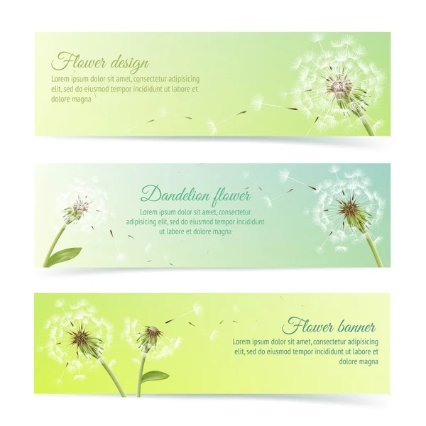 Collection of banners and ribbons with dandelion — Stock Vector