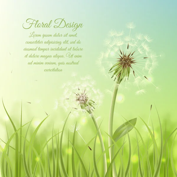 Floral design poster of dandelion — Stock Vector