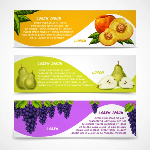 Sammlung von Banner mit gemischten Früchten — Stockvektor