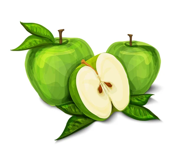 Зелене натуральне органічне яблуко фрукти — стоковий вектор