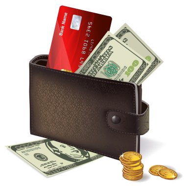 kredi kartı banknot ve madeni paralar ile cüzdan