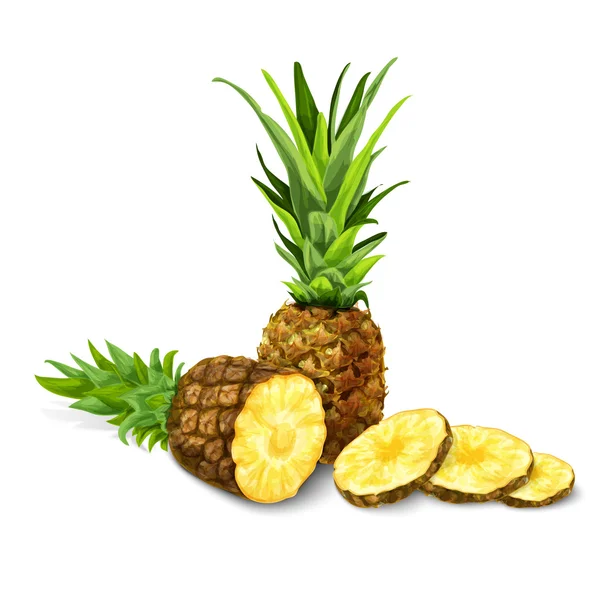 Ananas izole poster veya amblem — Stok Vektör