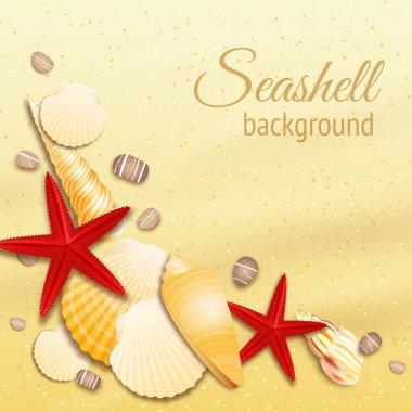 Seashell kum arka plan afiş