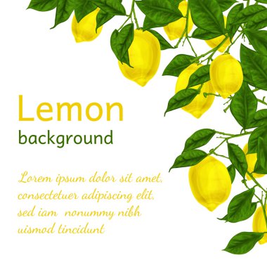 limon arka plan afiş