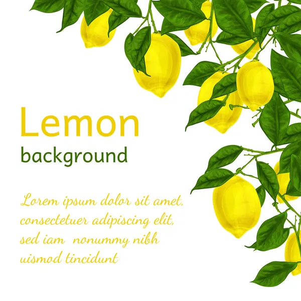 レモンの木 Vector Art Stock Images Depositphotos