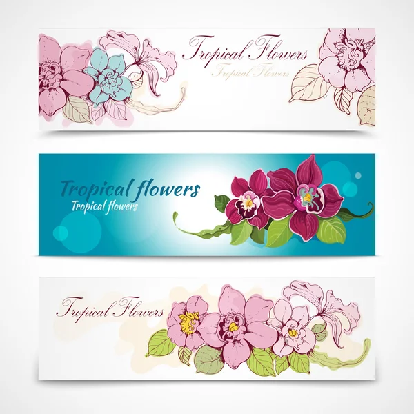 Tropisk blomma banners — Stock vektor