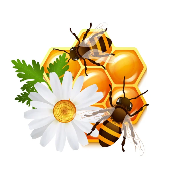 Emblème de fleurs d'abeilles en nid d'abeille — Image vectorielle