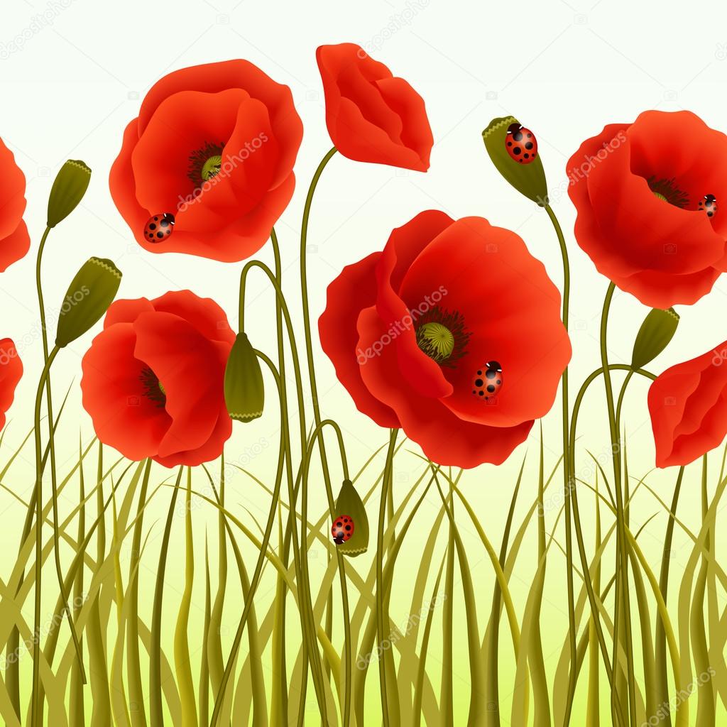 Poppy grass seamless wallpaper