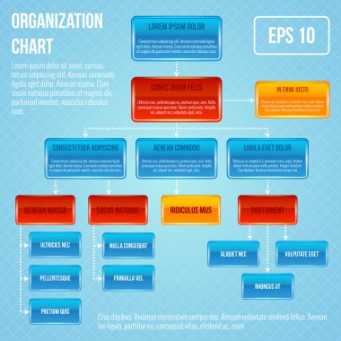 Organizasyon Şeması Infographic