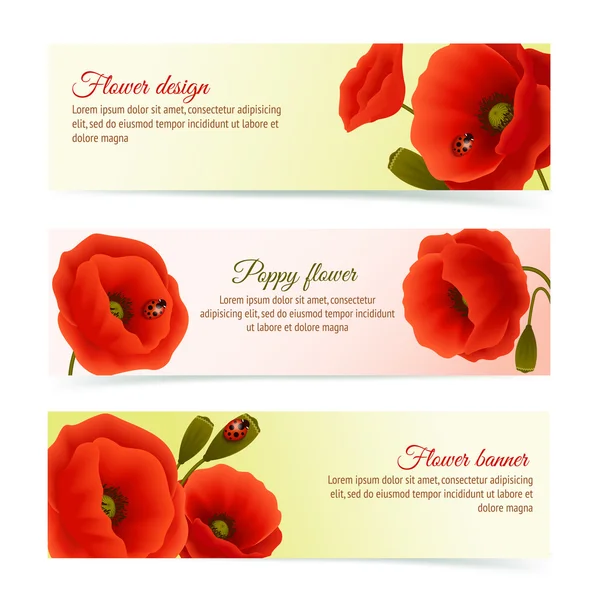 Set banner orizzontale papavero — Vettoriale Stock