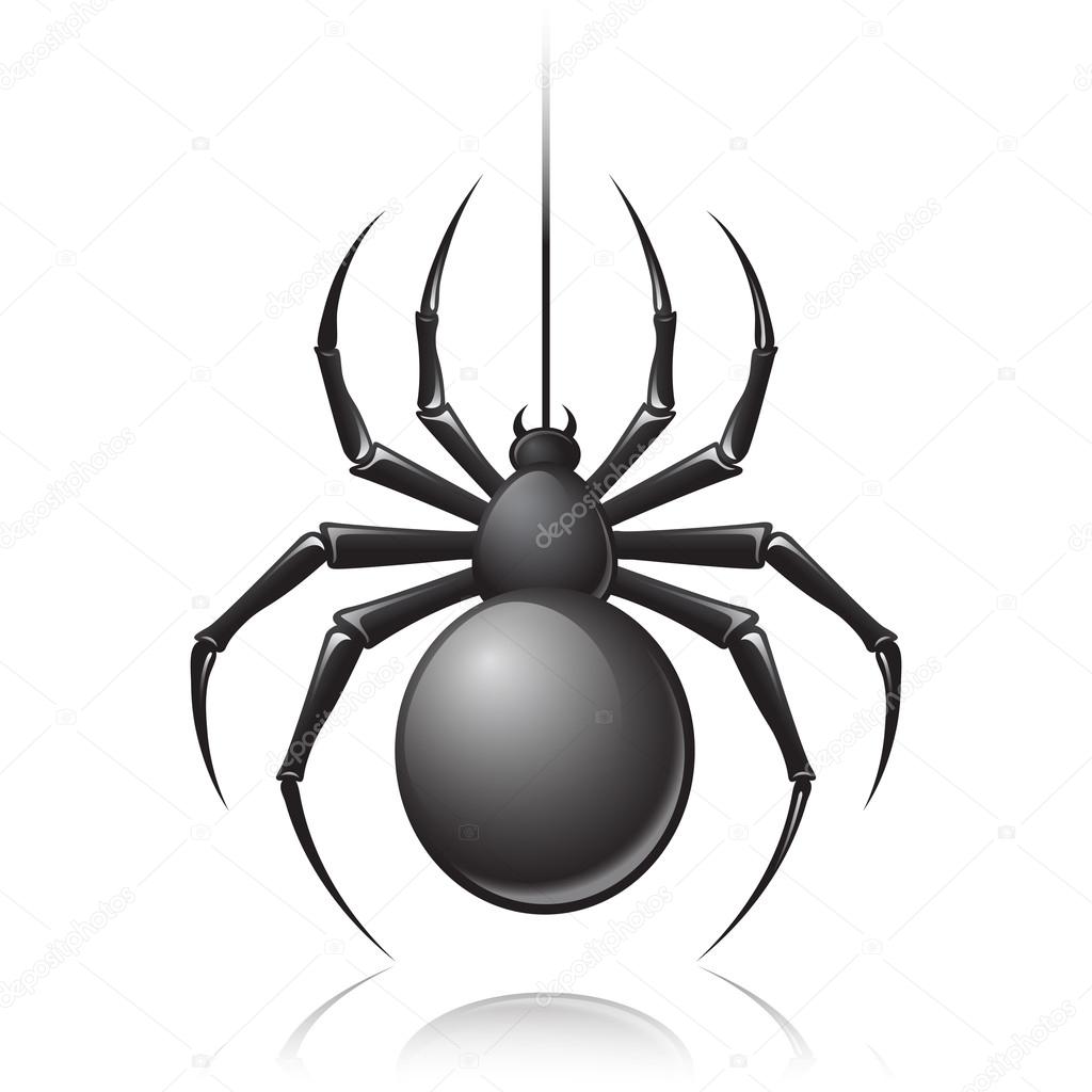 Black spider emblem