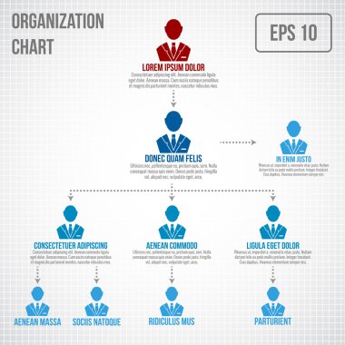 Kuruluş şeması Infographic