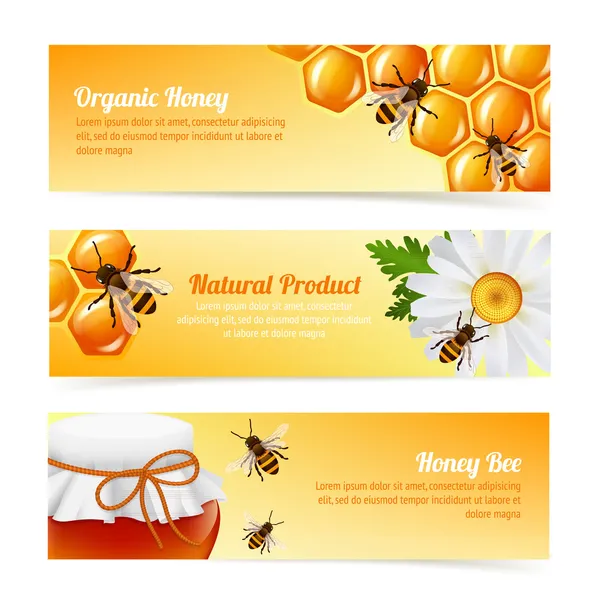 Honey bee banners — Stock Vector