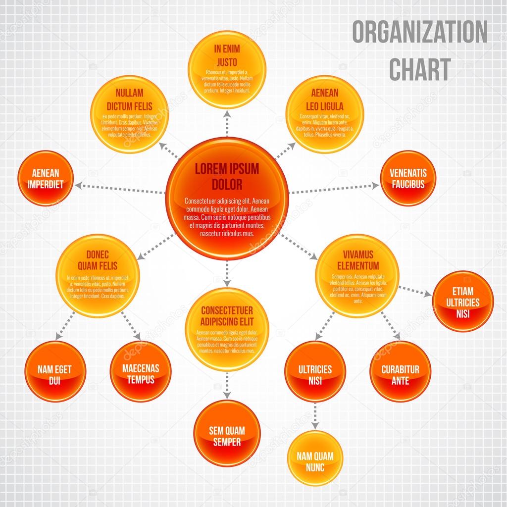 Organizational chart infographic