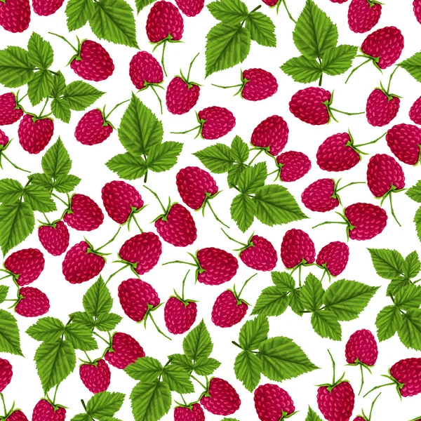 Pola mulus raspberry - Stok Vektor