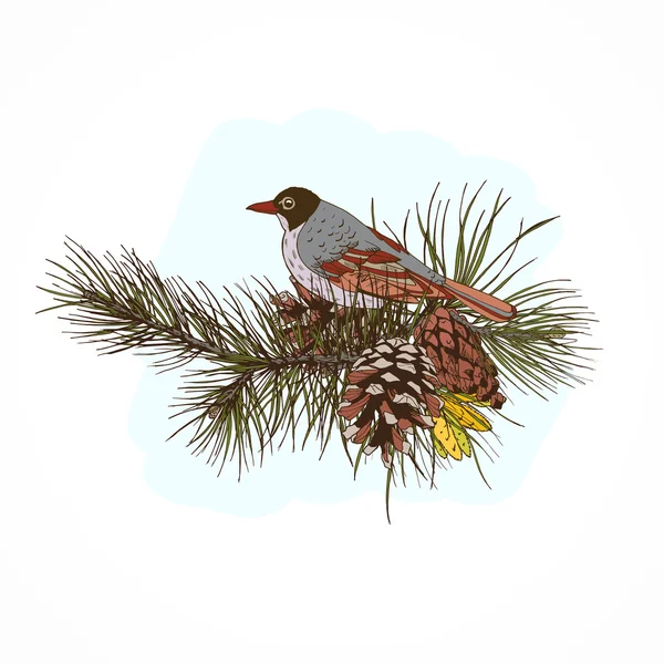 Pine branches with bird — Stock Vector