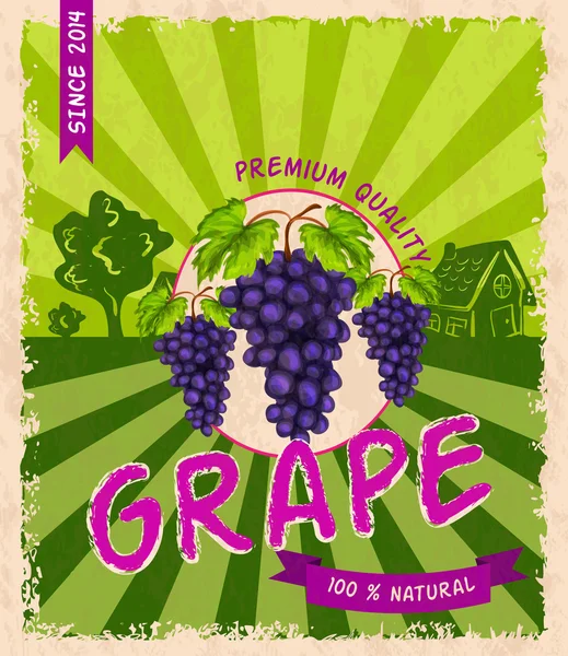 Grape retro poster — Stock Vector